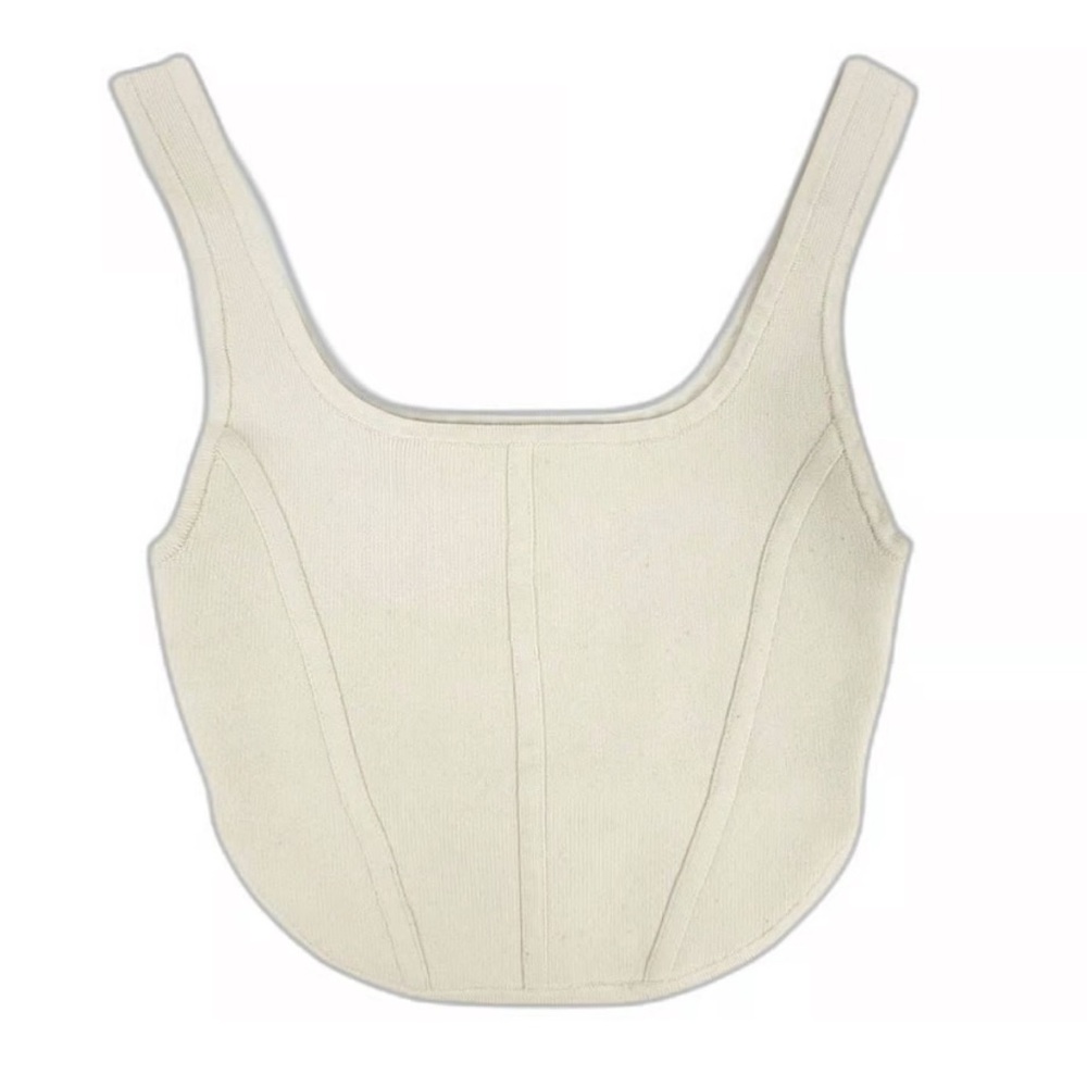 Aritzia Babaton Crop Corset